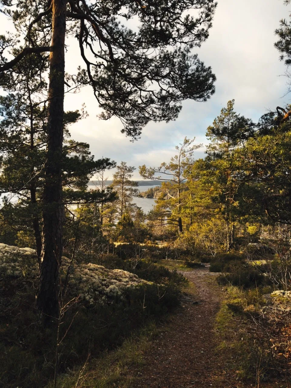 iPhone 15 Pro photo shot in Apple Camera RAW and developed in RAW Clinic
